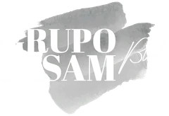 Grupo Disam