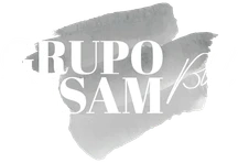 Grupo Disam
